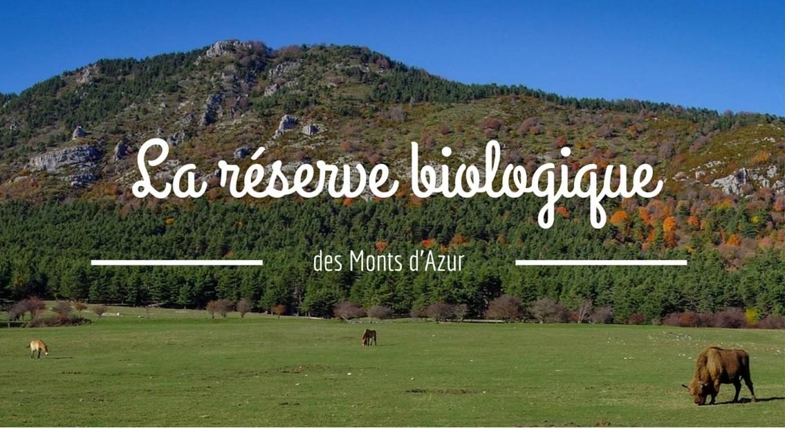 Montagne, Mer Et Verdon Séranon 외부 사진